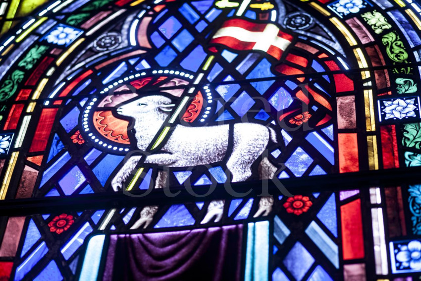 20150617 PCPC [WBS Erin] 44