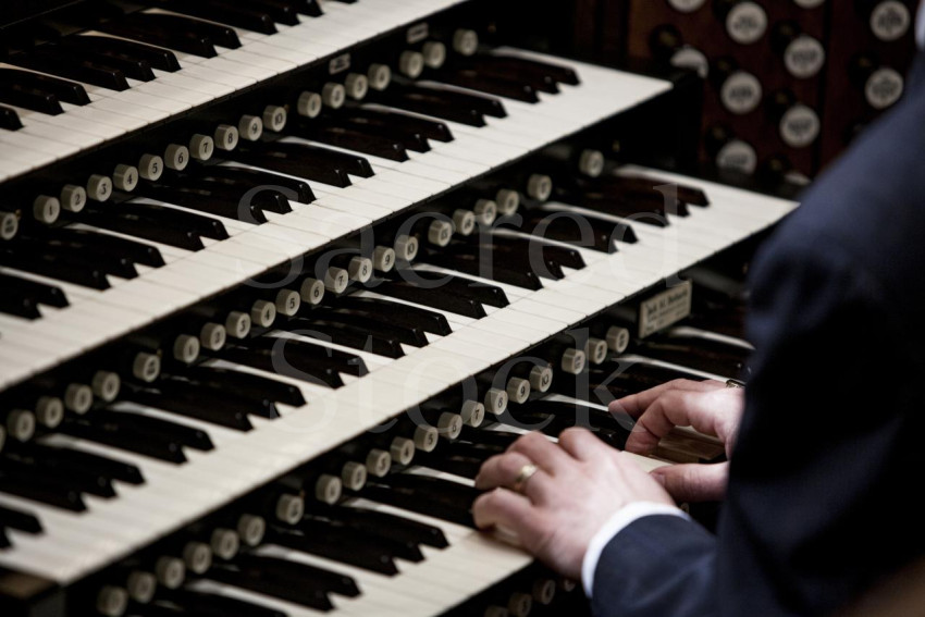 Organ Keys