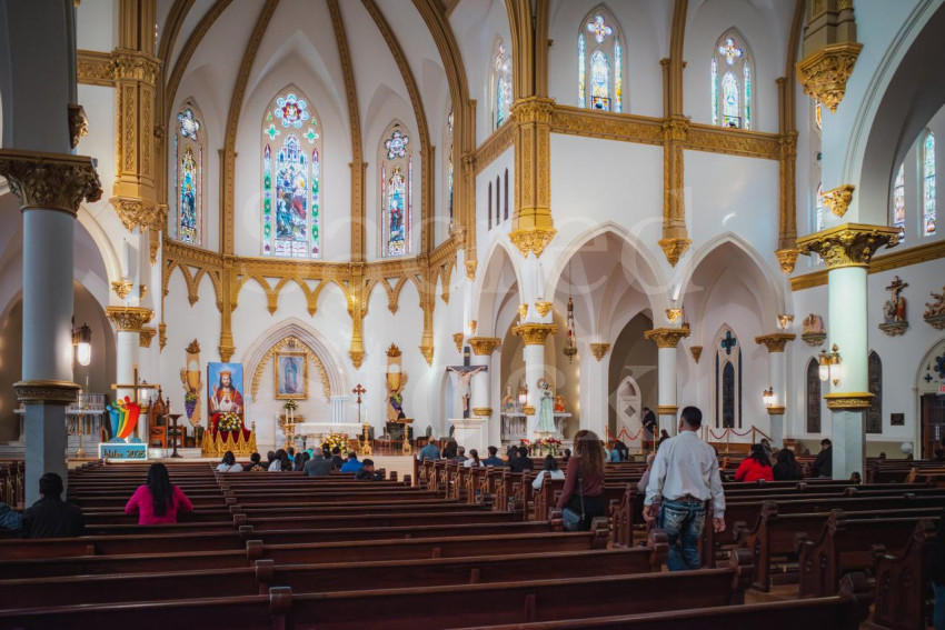 White and Gold Sanctuary