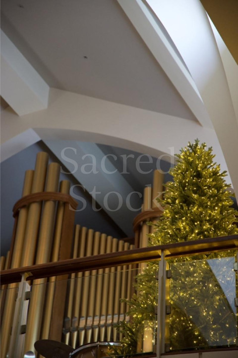 Christmas Tree   Organ   Balcony