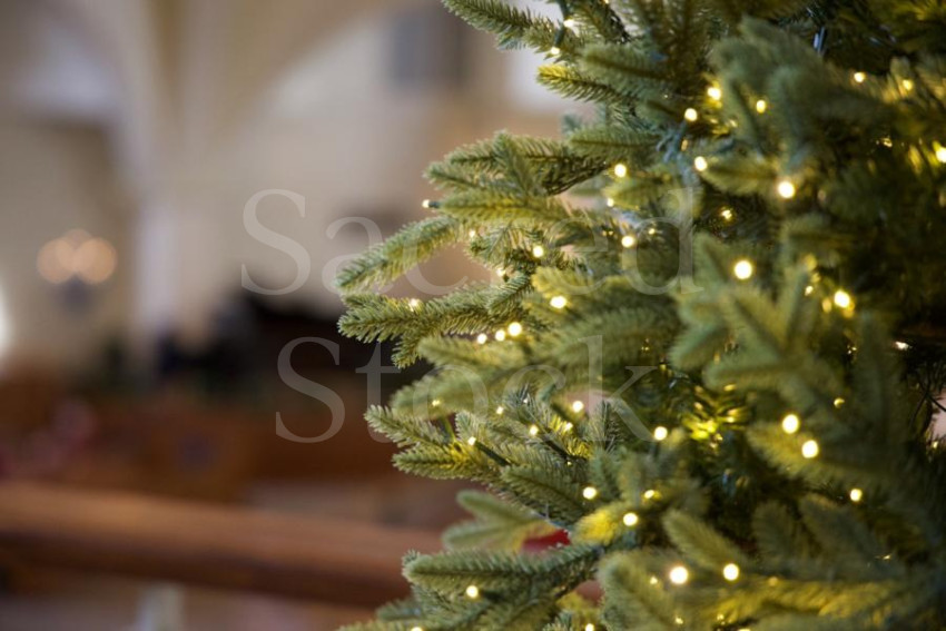 Christmas Tree twinkle 1