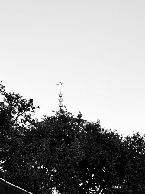 Steeple behind the trees